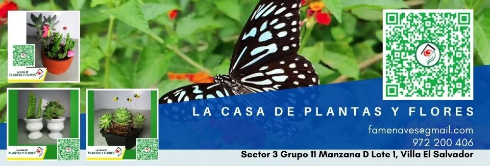 Diseño de portadas de fb 2